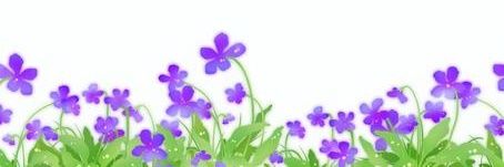 すみれ❁⃘*.ﾟハウエバー banner