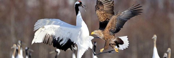 Edourdoo Profile Banner