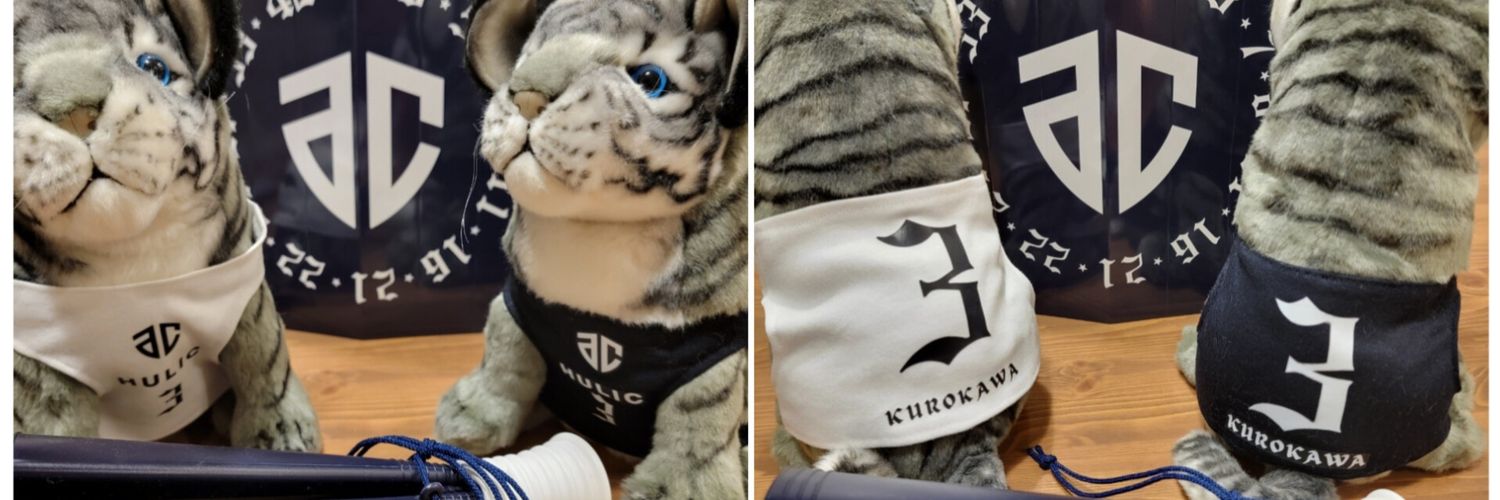 JUNK@Altiri_A-xx banner