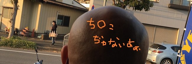 csvivid's profile banner image