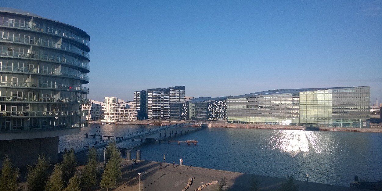 Solveig Røigaard banner