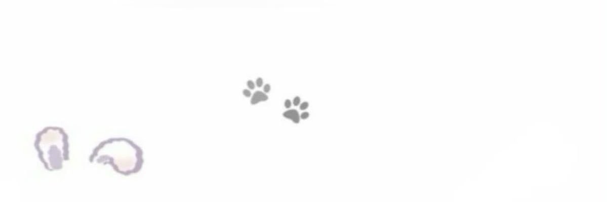 j ⋆‧°𓏲ּ𝄢 banner