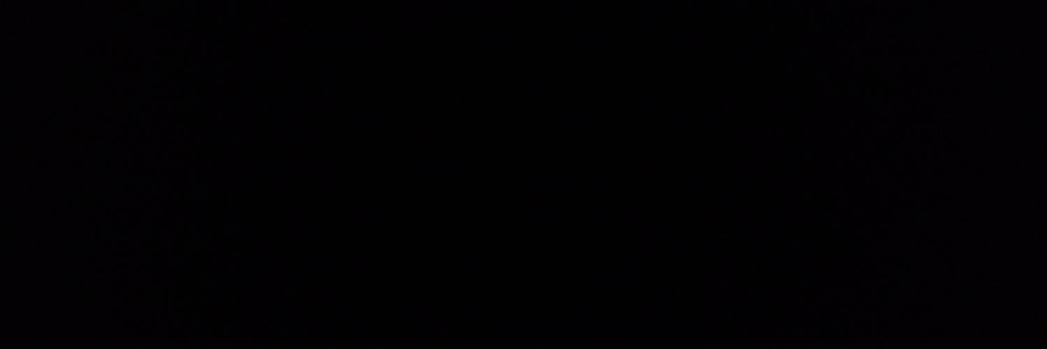 Elon is a wanker banner