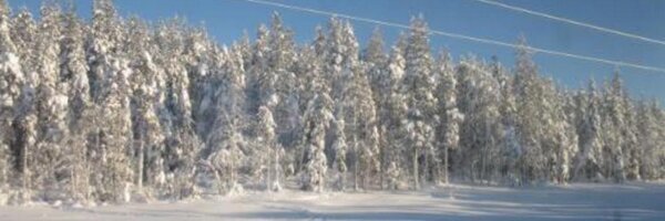 heulwen3 Profile Banner