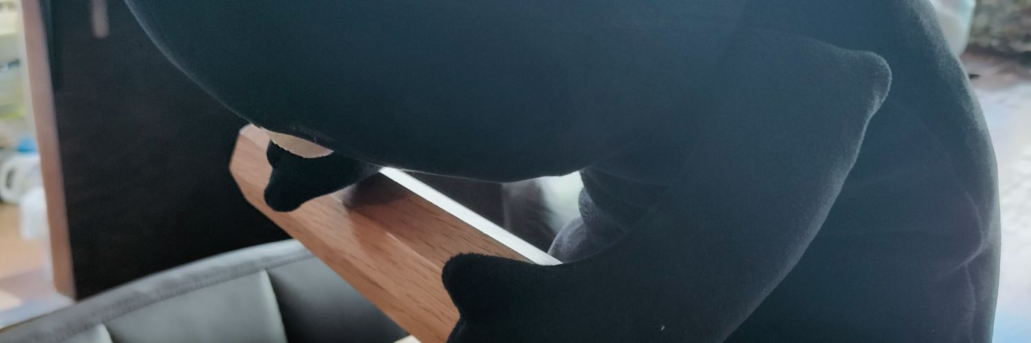 びび👾廃墟のエヴァレット banner