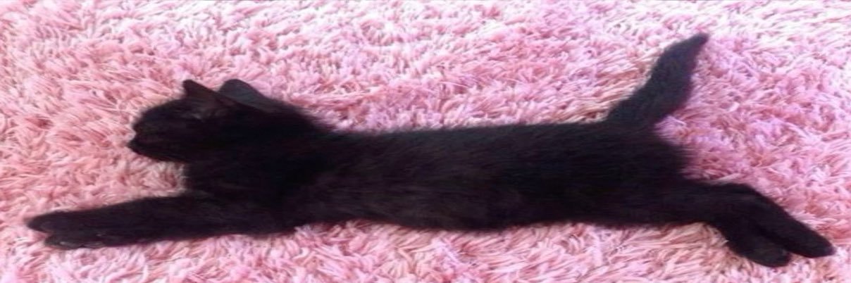 therblackcatt's profile banner image