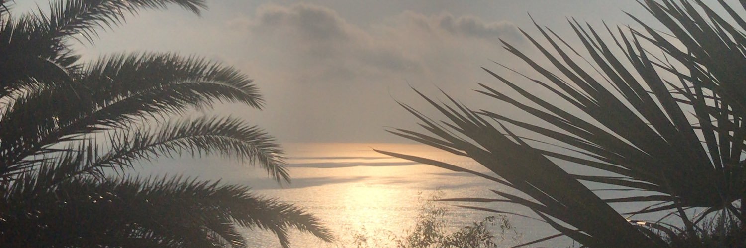 danilamo's profile banner image