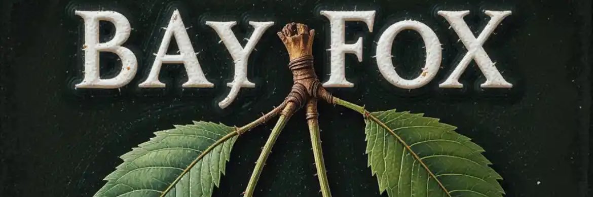 VB banner