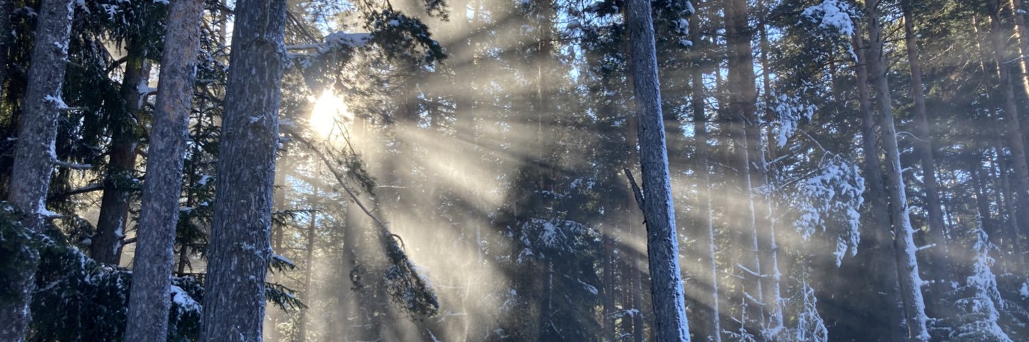 Dessy Chongarova banner