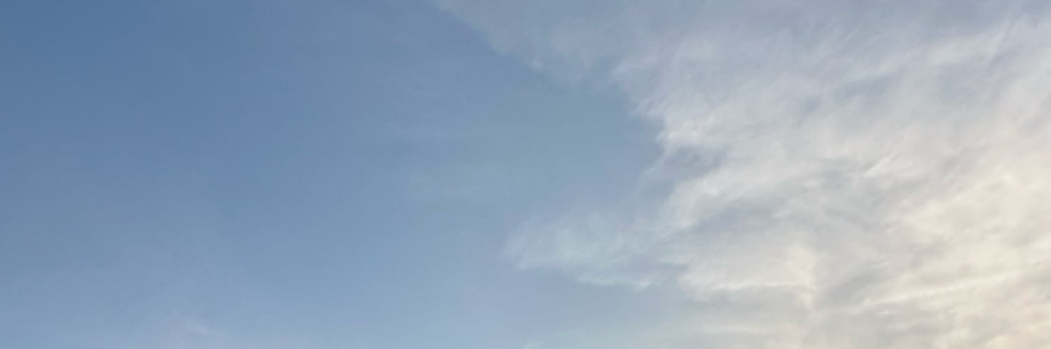 椿姫@取引垢 banner