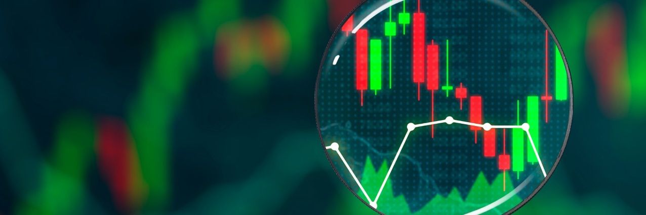 Pipforex Capital banner