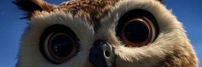 水工🔶 【外星猫】 banner