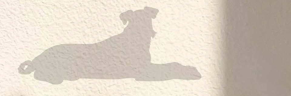 GuyStock's profile banner image