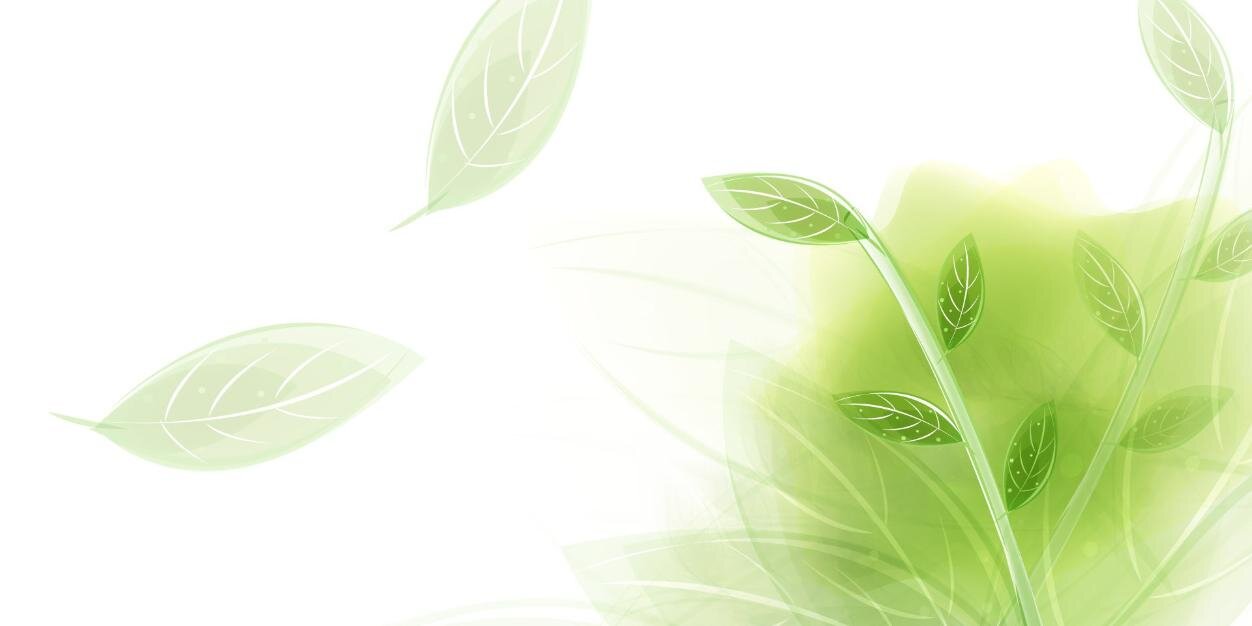 evamariamrtz's profile banner image