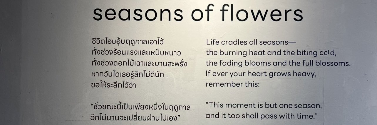 sunflower🌻 banner