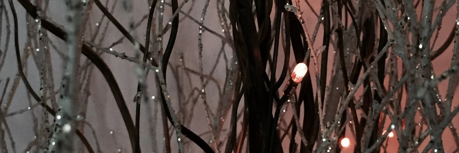 Rich_Wilcox's profile banner image