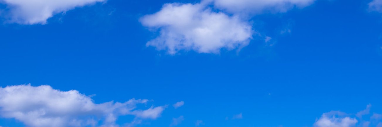 love2wombat's profile banner image