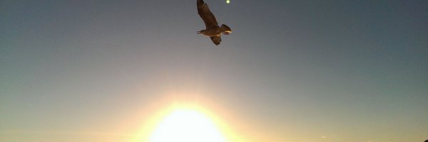 fizzychaz Profile Banner