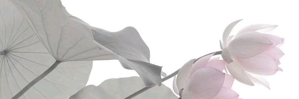 springbladeri's profile banner image