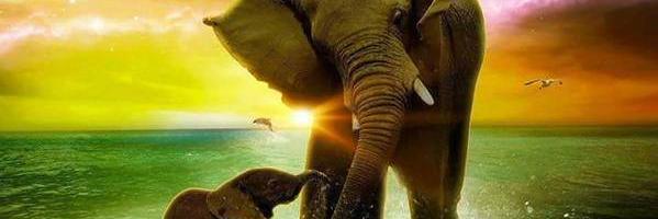 DanielaDivine's profile banner image