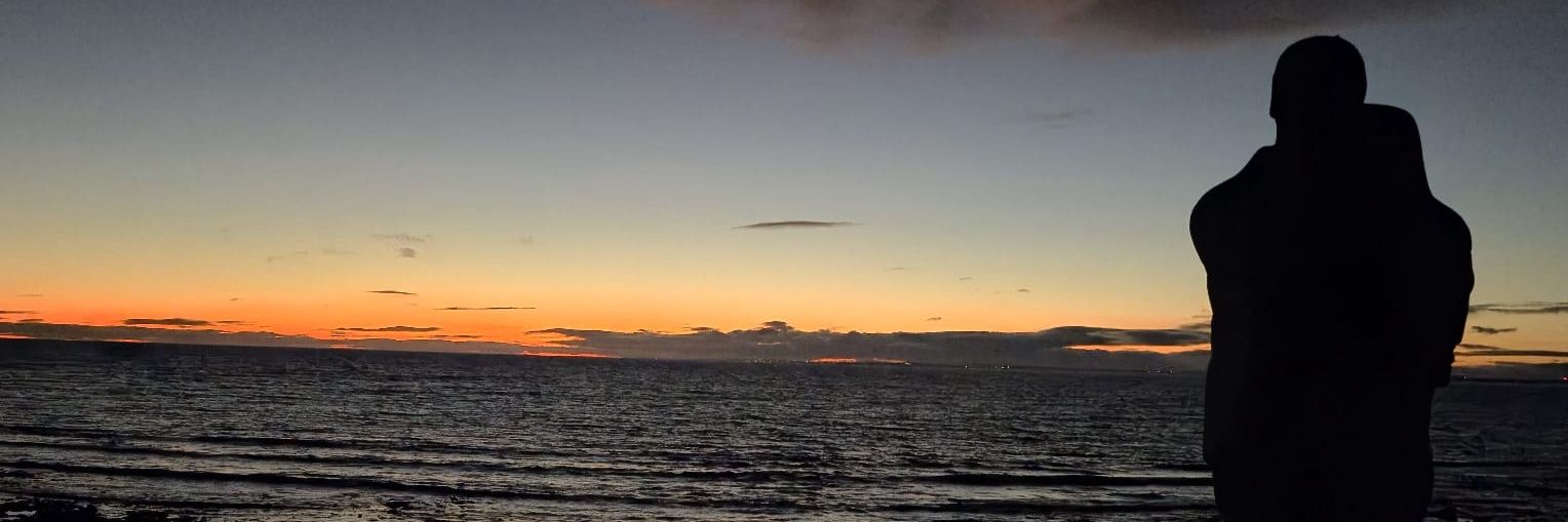 Zoë O'Connor banner