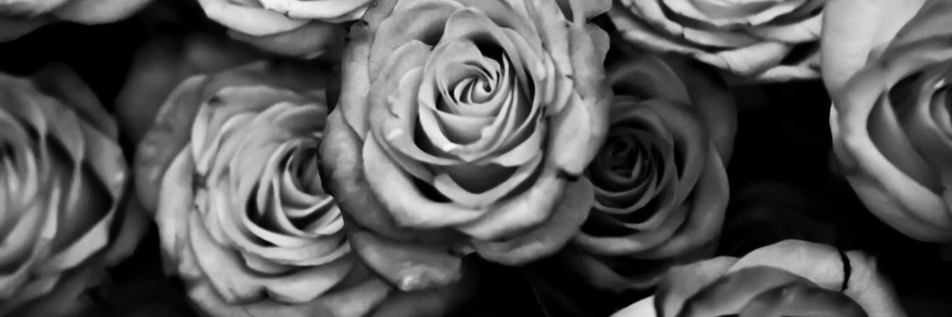 Megan_Lyles's profile banner image