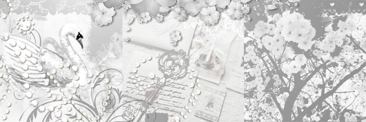 Edito Mint Studio banner