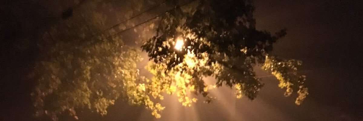 everytimejasper's profile banner image