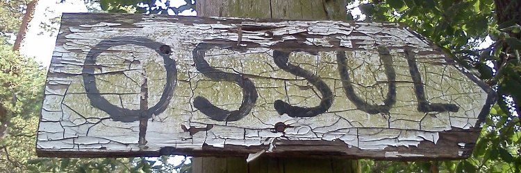 Marc Serrano i Òssul-Crusafont banner