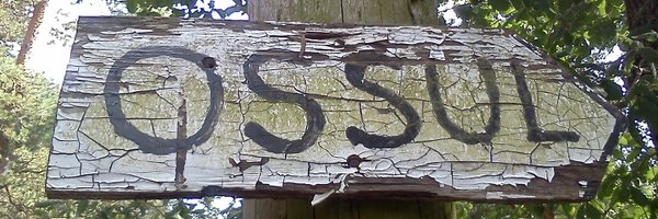 marcossul Profile Banner