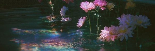 lume818 Profile Banner