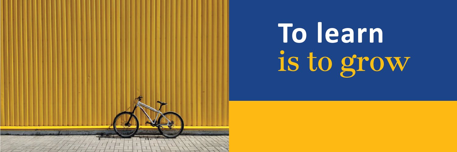 Fulham School banner