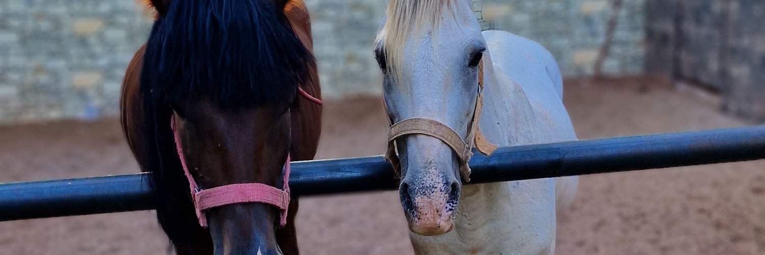 VonMalkocoglu's profile banner image