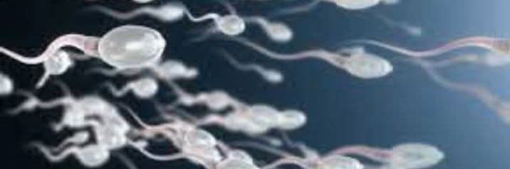 PatriA Castro banner