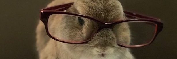 sam goon 💗 banner