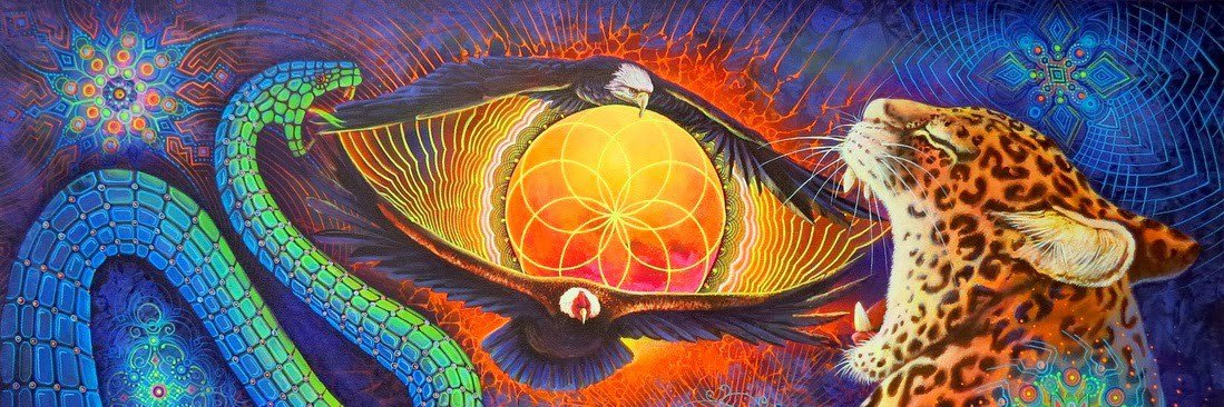 It's all going a bit Kafkaesque banner