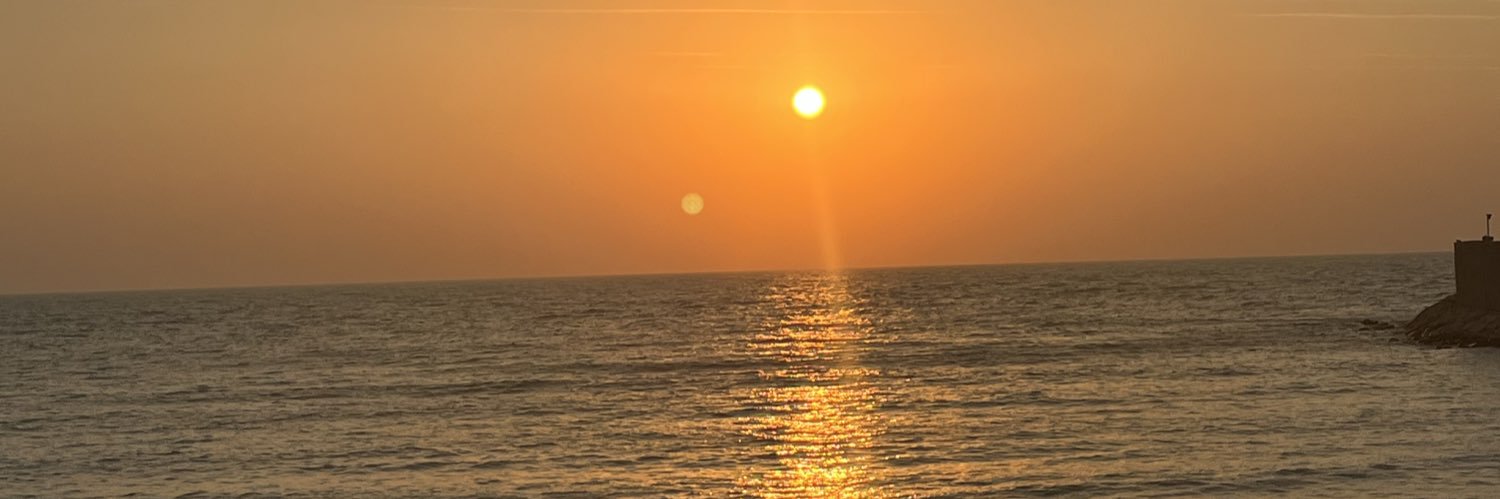 Negini_S's profile banner image