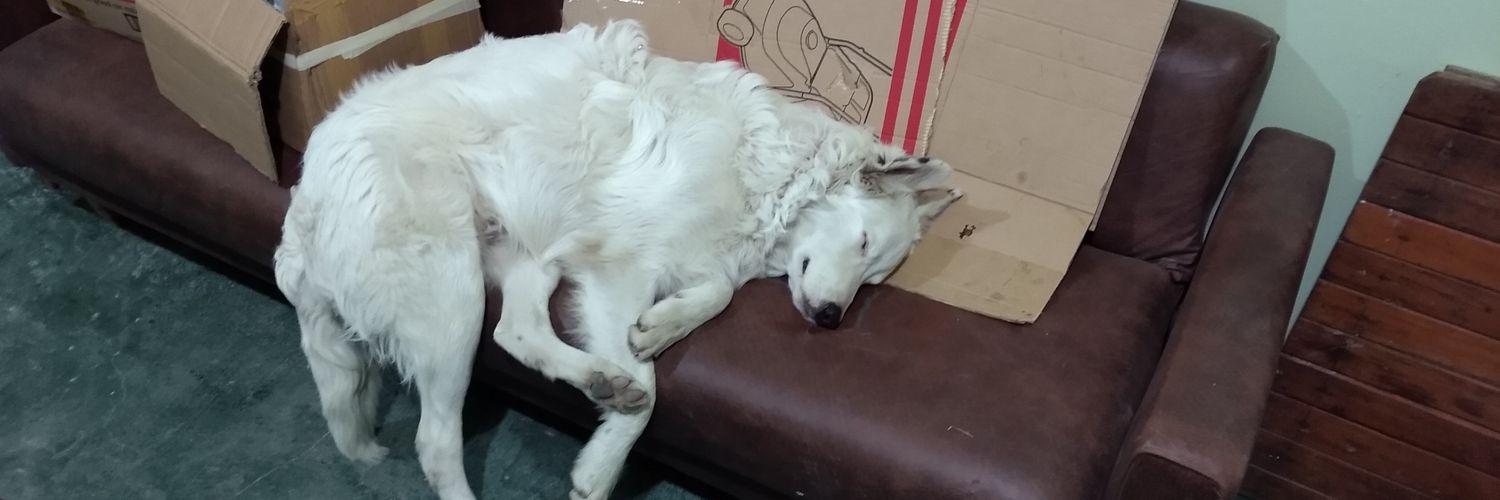 GabyyKam's profile banner image