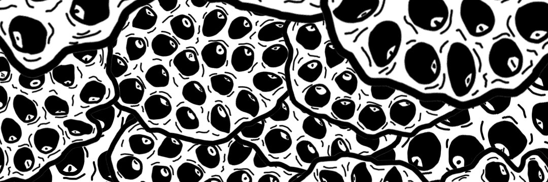 D banner