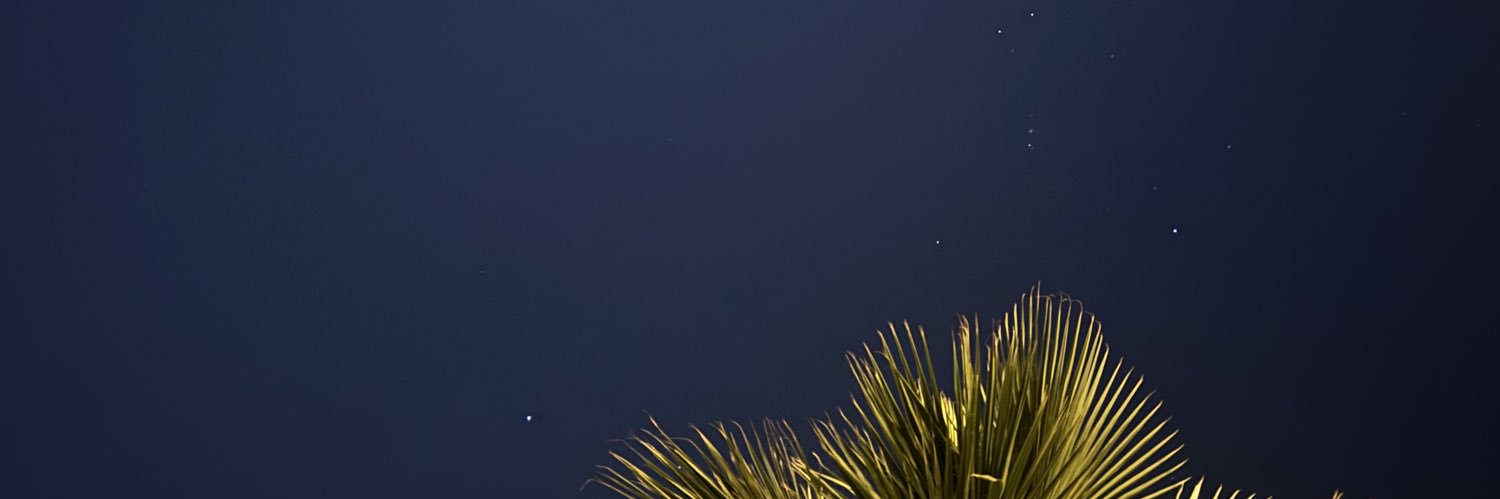 R banner