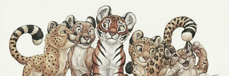aptiwii's profile banner image