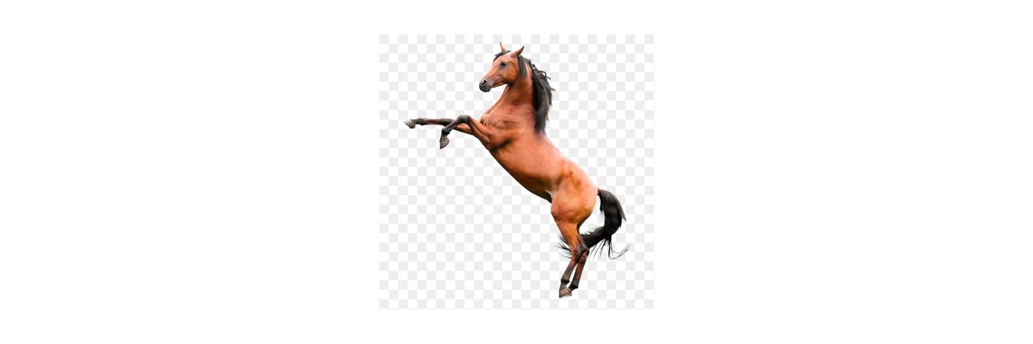 ricochetstar's profile banner image