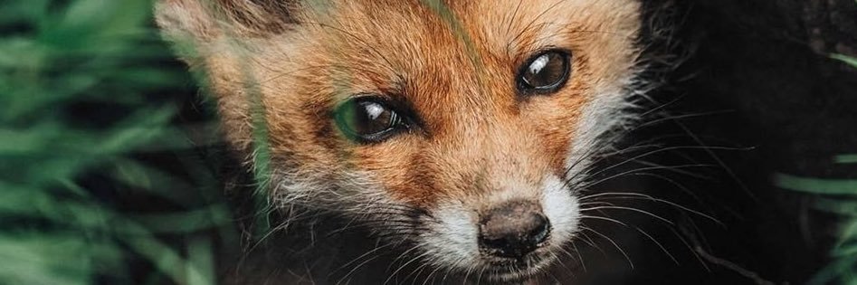 Stuart  McCartney banner