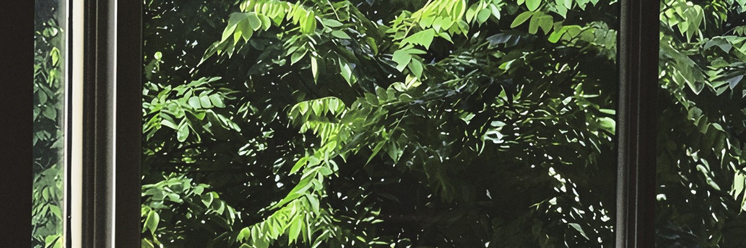 enterneceis's profile banner image