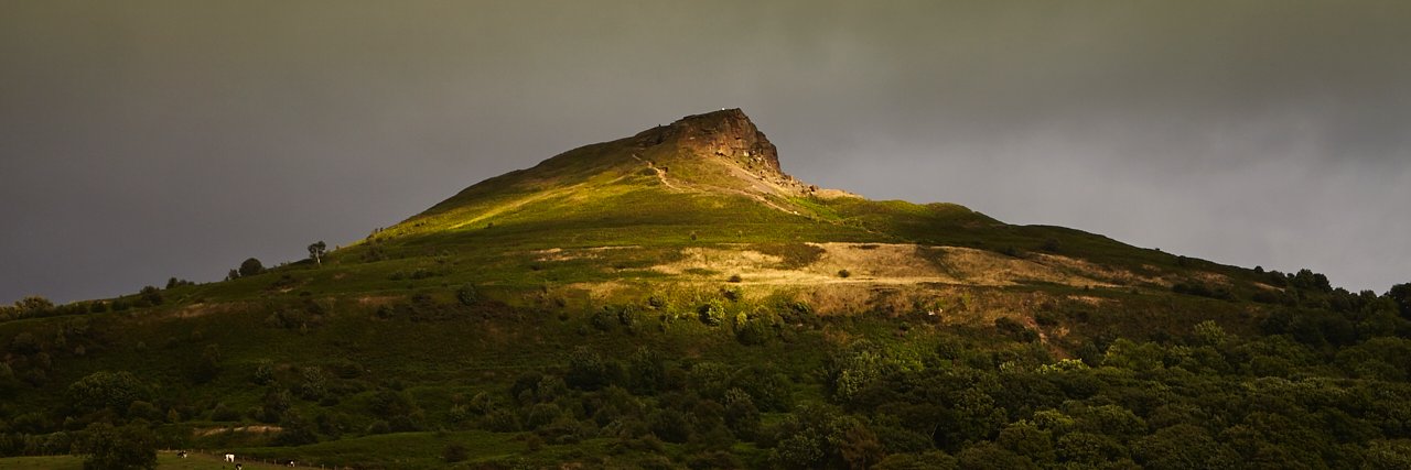 paul d hunter banner