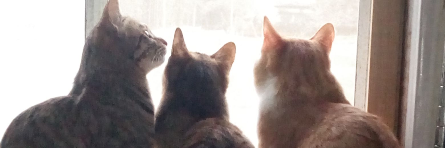 buru5523's profile banner image