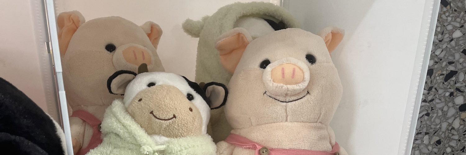 🐨 banner