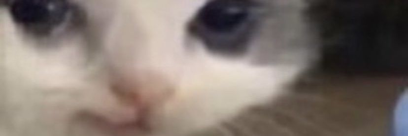 Mal🔞 banner