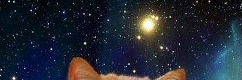 SINNSAIBISI's profile banner image
