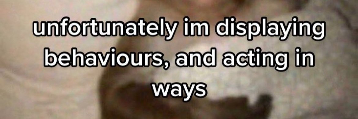 dan banner
